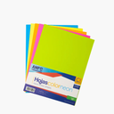 PR007982-PAPEL COLOR SURT.NEON 81/2X11 100/1 5COL